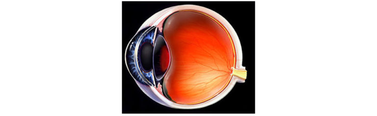 Read more about the article Eye Cancer