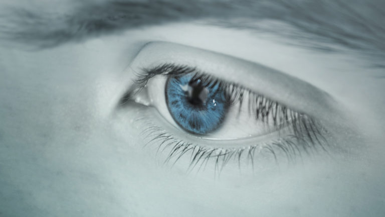 Read more about the article Basic Anatomy of the Eye